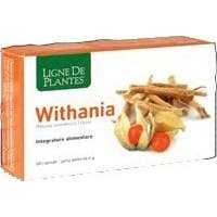 Withania 60 Cps Nse