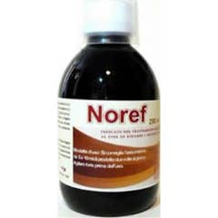 Omniaequipe Noref Scir 250ml