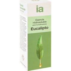 Interapothek Esencia Para Humidificadores Eucalipto 10 ml