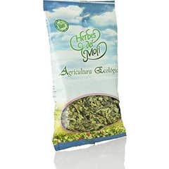 Herbes de Moli Te Verde Sin Teina Eco 60g