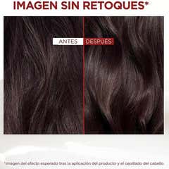 L'Oreal Dream Long Sos Mask 300ml