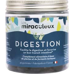 Miraculous Digestion 42 Gummies