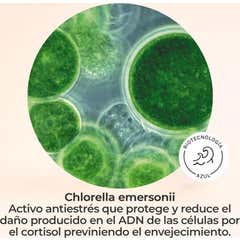 Segle Clinical Vital C Sérum Día Noche 30ml