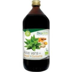 Biotona Jugo Aloe Vera+ Jengibre+ Curcuma Bio 1L Biotona Jugo Aloe Vera+ Jengibre+ Curcuma Bio 1L