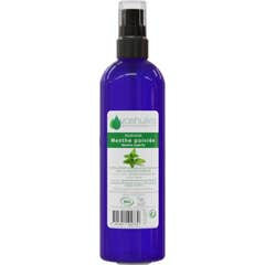 Voshuiles Hidrolato Menta Piperita Cosmos 200 ml