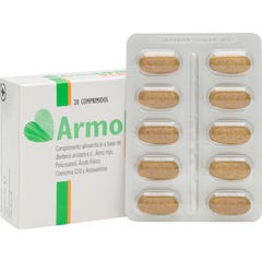 Armolipid Plus 2x20comp