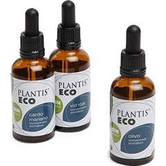 Plantis Extract van paardenbloem Alcoholvrij 50ml