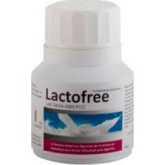 Bluecube Lactofree 60 cápsulas