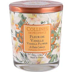 Collines Provence Vela Perfumada Flor de Vainilla 1ud