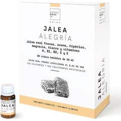 Controlnerv Jalea Alegría 20x10ml