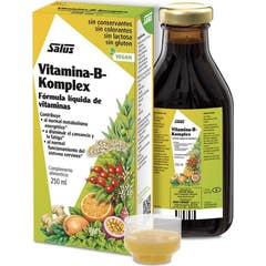 Salus Vitamina-B-Complex 250ml