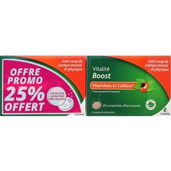 Viatris Vitalidad Boost 2x20comp