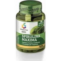 COLOURS OF LIFE SPIRULINA60CPR