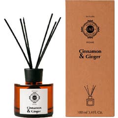 Iap Pharma Mikado Aroma Zimt Ingwer 100 ml