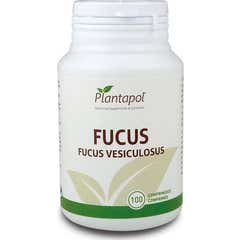 Plantapol  Fucus 550mg 100comp