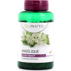 Go Phyto Angelica 200 Capsule
