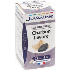 Juvamine Charbon + Levure Gaz Intestinaux 45 Gélules