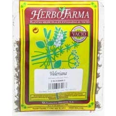 Erbofarma valeriana vuoto 50 G