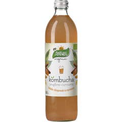 Santiveri Kombucha Ingwer und Zitrone Bio 500ml