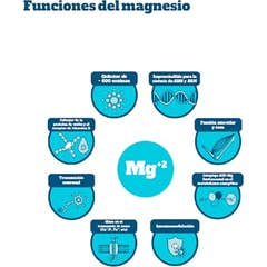 Kiroot Mag-Root Basic 120caps