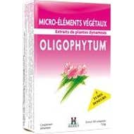 Holistica Oligophytum Zinco 100comp