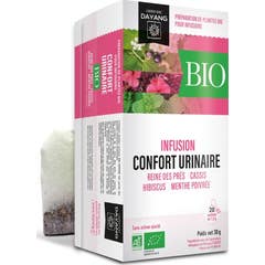 Dayang Organic Infusion Urinary Comfort 20x1.5 g
