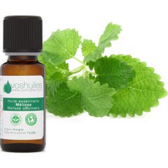 Voshuiles Huile Essentielle De Mélisse 2ml
