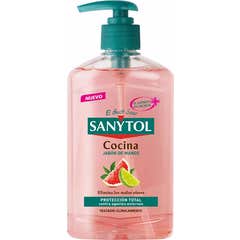 Sanytol Antybakteryjny Dozownik Mydła do Rąk Kuchennych 250ml