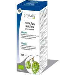 Physalis Lupulus Hydroalkoholischer Extrakt Bio 100ml