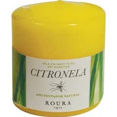 Candela Roura Taco alta fiamma Citronella 80x70mm 1ud