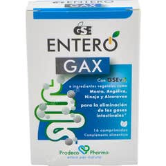Gse Entero Gax Rapid Digestive met Grapefruitzaad 12comp