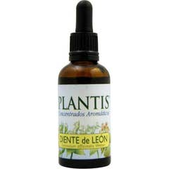 Maese Herbario Dandelion Extract 50ml