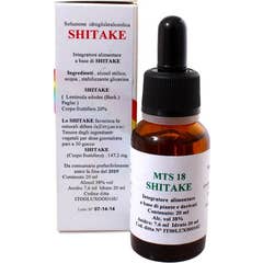 Alkaest MTS18 Shitake 20ml