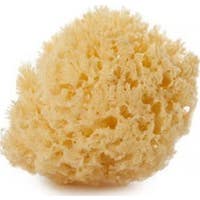 Suavinex® medium naturlig svamp 1ud