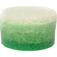 Tikis Esponja Redonda Aloe Vera 1ud