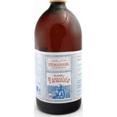 Paracelsia Dymanasil Silicio Organico 1 L