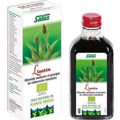 Salus Llantén Expectorante Jarabe 250ml