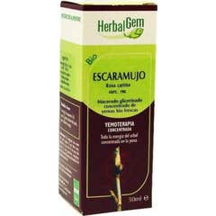 HerbalGem Escaramujo 50 ml