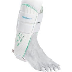 Orth Aircast Chev Class Ii G T T