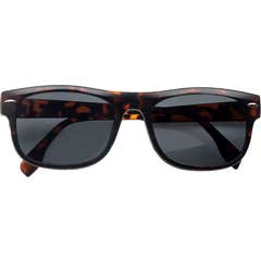 Acofar Nesira gafas Clip Sol Polarizada +3 1 ud