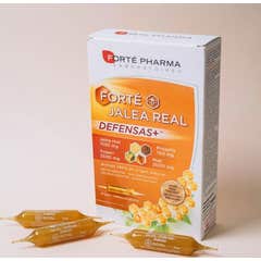 Reig Jofre Forté Defenses+ Royal Jelly