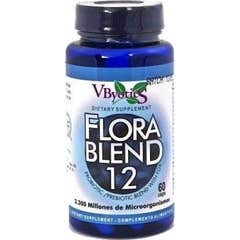 Vbyotics Florablend Probióticos 60 caps