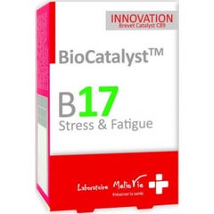 BioCatalyst B17 Stress en vermoeidheid 30 Lijmen