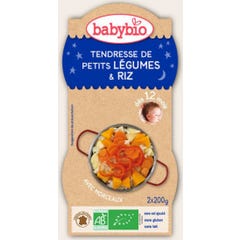 Babybio Good Night Bowls Tenderness of Small Vegetables Organic Rice in 12 months 2 x 200g