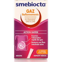 Ipsen Smebiocta Gaz Ballonnements Vainilla 12 Sticks