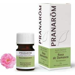 Pranarom Ladies He Rose 2ml 341