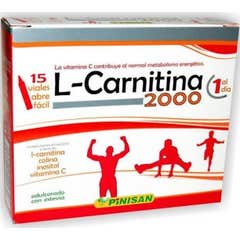 Pinisan L-carnitina 2000 15 Fiale di Pinisan L-carnitina 2000 15 Fiale