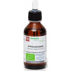 Fitomedical Abedul Blanco Glicerina Semi Macerada Bio 100ml