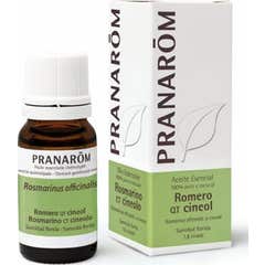 PranarÌ«m Ätherisches Rosmarin-Öl QT cineol 10ml