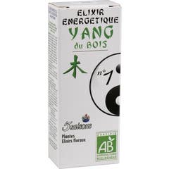 5 Saisons Elixir Nº1 Wood Yang Eco 50ml